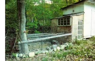 A New Property Means Taking on Homesteading Projects Image